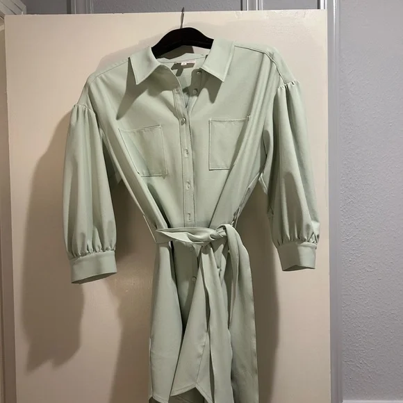 CINQ À SEPT Stacey Gathered Stretch-Crepe Shirt Dress Size 8 Pastel Green - Picture 4 of 8